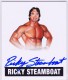 2018 Leaf Legends Of Wrestling Originals Update Autographs #RS1 Ricky Steamboat (2017)