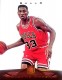 2012-13 Momentum #43 Scottie Pippen - Quantity: 1 - Owned by: albinoboy53 