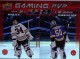 2024-25 Upper Deck Gaming PVP #GPVP17 Petr Mrazek/Jordan Binnington