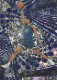 2023-24 Revolution Winter #142 GG Jackson II