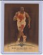 2008-09 Topps Hardwood Mahogany #24 Ben Gordon