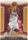 2006-07 Upper Deck Hardcourt #17 LeBron James