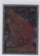 1996-97 Topps NBA At 50 #31 Rasheed Wallace
