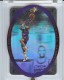 1996 SPx Holoview Heroes #H9 Damon Stoudamire