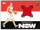2007-08 Topps Generation Now Relics #GNRBR Brandon Roy