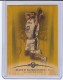 2008-09 Topps Hardwood Maple #97 David Robinson