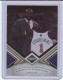 2010-11 Limited #8 Amar