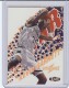 1997-98 Ultra Ultrabilities All-Star #8 Kevin Garnett - Quantity: 1 - Owned by: BKBcards4ever 