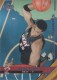 2005-06 Upper Deck #213 Wayne Simien - Quantity: 1 - Owned by: aalma1 