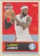 2011-12 Past And Present #40 LeBron James