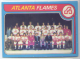 1979-80 O-Pee-Chee #244 Flames Team