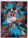1994-95 Fleer Rookie Sensations #20 Isaiah Rider