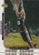 1998-99 Upper Deck Ovation #59 Tim Duncan - Quantity: 1 - Owned by: pspstatus 