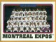 2005 Topps #655 Montreal Expos TC - Quantity: 1 - Owned by: Algae 