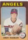 1975 Topps #261 Andy Hassler