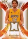 2008-09 Hot Prospects Hot Materials #HMPG Pau Gasol