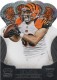 2013 Crown Royale #181 Rex Burkhead - Quantity: 1 - Owned by: TroutFan618 