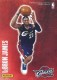 2009-10 Panini Decals #5 LeBron James - Quantity: 1 - Owned by: markinfl83 
