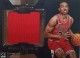 2018-19 Dominion Mammoth Materials #17 Wendell Carter Jr.