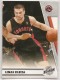 2010-11 Panini Season Update #31 Linas Kleiza - Quantity: 1 - Owned by: tjvisco 