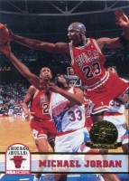 1993-94 Hoops Fifth Anniversary Gold #28 Michael Jordan