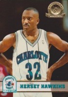 1993-94 Hoops Fifth Anniversary Gold #163 Hersey Hawkins