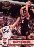 1993-94 Hoops Fifth Anniversary Gold #361 Matt Geiger