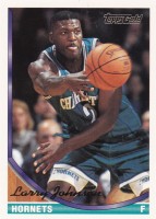 1993-94 Topps Gold #223 Larry Johnson