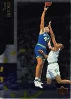 1994-95 Upper Deck Special Edition #17 Sean Rooks